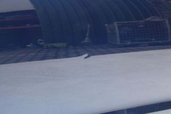 VW GOLF 5 6 KOMBI DRZWI PRAWE PRZÓD STRONA PRAWA przednie 1 sztuka JETTA 1K5 1K9