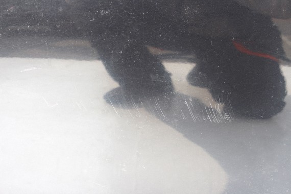 VW PASSAT B6 DRZWI PRAWE PRZÓD STRONA PRAWA przednie 3C Kolor      czarny czarne