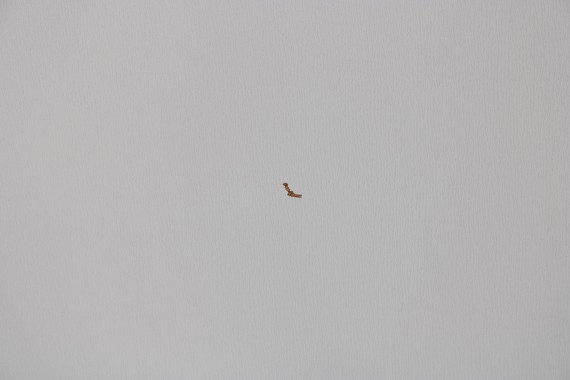 VW T5 T6 PODSUFITKA PŁYTA PILŚNIOWA 7H1867527 PILŚŃ TYŁ kolor: 3J8 szary perlisty 7H1 867 527 7H 7E  2003-, 2010- 3000mm