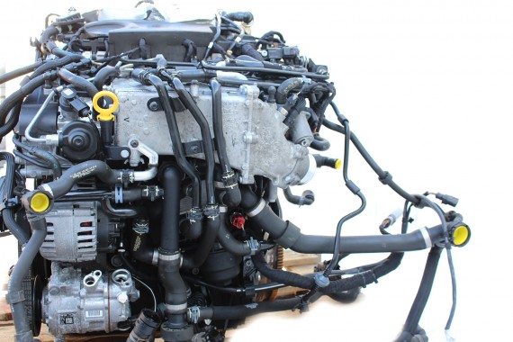 VW AUDI SKODA KOLEKTOR SSĄCY 03N129766C 03N 129 766 C TDi diesel 2.0 producent Valeo BiTurbo 03N129766C 03N129766C 03N129711C