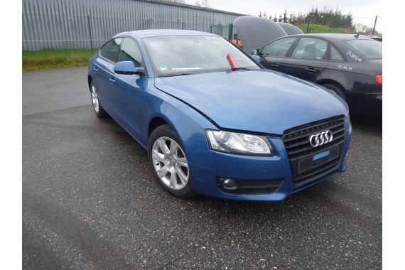 AUDI A5 SPORTBACK DRZWI LEWE PRZÓD + TYŁ STRONA LEWA przednie + tylne 2 sztuki 8T8 Kolor LX5V Q9Q9 niebieski 8T8831051 8T8833051