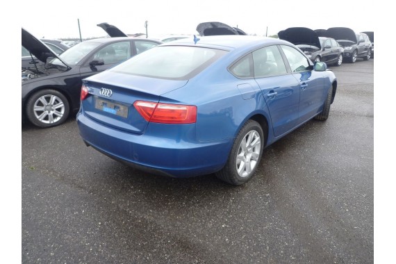 AUDI A5 SPORTBACK DRZWI LEWE PRZÓD + TYŁ STRONA LEWA przednie + tylne 2 sztuki 8T8 Kolor LX5V Q9Q9 niebieski 8T8831051 8T8833051
