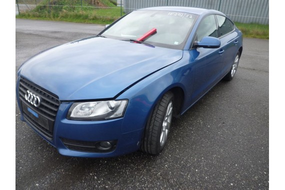 AUDI A5 SPORTBACK DRZWI LEWE PRZÓD + TYŁ STRONA LEWA przednie + tylne 2 sztuki 8T8 Kolor LX5V Q9Q9 niebieski 8T8831051 8T8833051
