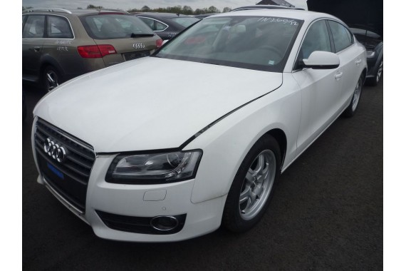 AUDI A5 SPORTBACK LUSTERKO LEWE DRZWI 10+2 PIN asyst zewnętrzne pinów kabli przewodów 8T 8T8 LY9C - biel ibisa