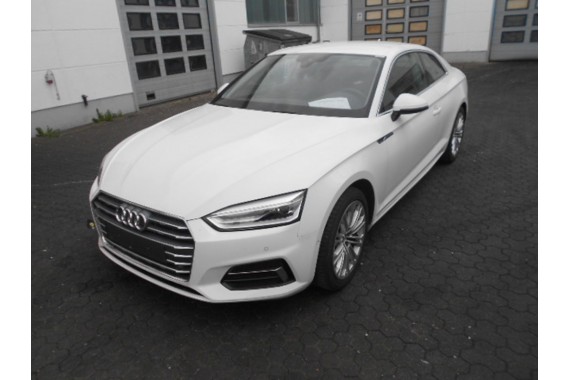 AUDI A5 COUPE DRZWI LEWE STRONA LEWA 8W F5 2016- Kolor: T9T9 LY9C - biel ibisa 8W6831051A 8W6831051B 8W6 831 051 A 8W6831051