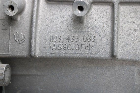 AUDI A4 A5 Q5 SILNIK 3.0 TFSi CWG benzyna przebieg 22 km kilometrów CWGD A4 A5 A6 A7 8W B9 F5 FY S4 S5 SQ5 06M100031L