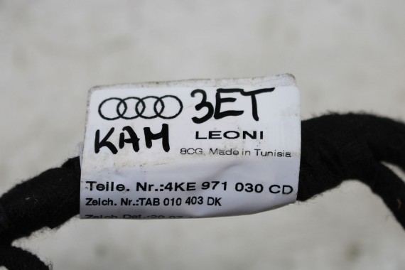 AUDI E-TRON WIĄZKA ELEKTRYCZNA DRZWI 4KE971029EH 4KE971030CD instalacja przód przednia kamera 360 ETRON 4KE 971 029 4KE971029FH