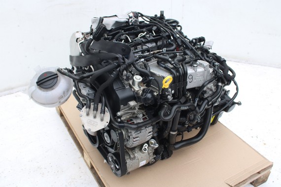 VW POMPA KLIMATYZACJI KLIMY 5Q0820803D 5Q0820803D 5Q0820803J 5Q0820803R 5Q0 820 803 D 5Q0 820 803 B J R sprężarka diesel DELPHI