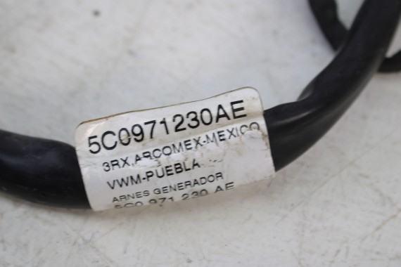 VW THE BEETLE WIĄZKA ALTERNATORA 5C0971230AE SILNIKA 5C0 971 230 AE SKRZYNIA manualna silnik diesel 1.6 2.0 TDi BEETLE JETTA