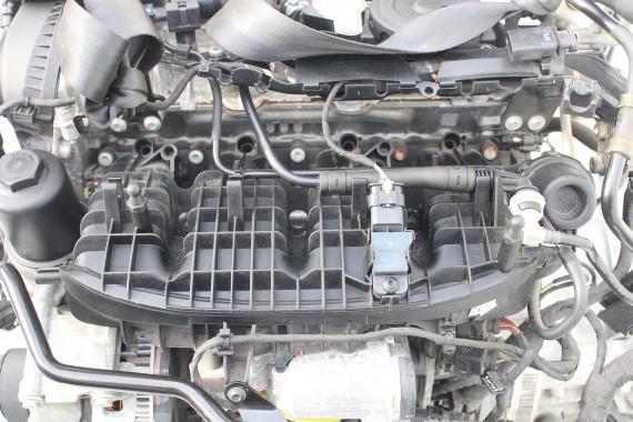 AUDI SILNIK 2.0 TFSi CYM CYMC 252KW 185 Km przebieg 56 km TFSi FSi A4 A5 Q5 Q7 FSi 8W B9 F5 4M