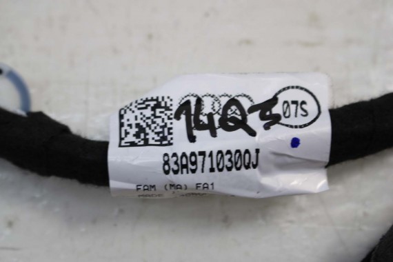 AUDI Q3 WIĄZKA ELEKTRYCZNA DRZWI 83A971030QJ 83A971029QJ instalacja przód przednia  83A971030QJ 83A 971 030 QJ 83A971030 RSQ3 F3