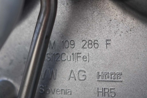 AUDI A6 A7 SILNIK 3.0 TFSi DLZ benzyna przebieg 20 km kilometrów DLZA S6 S7 4K C8 06M100031L 55 TFSI Mild Hybrid SILNIK 3.0 DLZ
