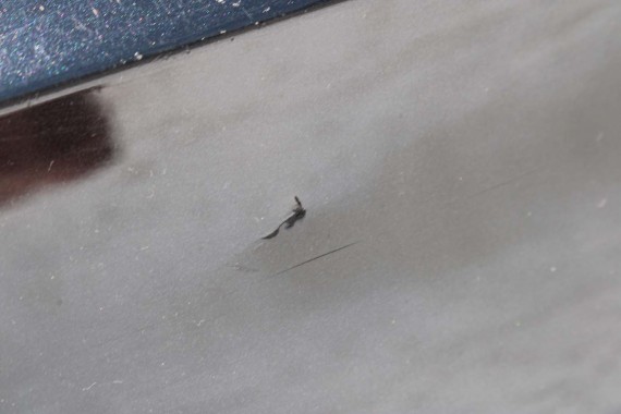 AUDI A8 4H ZDERZAK TYLNY TYŁ PDC 4H0 D4 4H0807511 4H0807067 4H0807521 2010-2014 Czarny 4H0807067 4H0807521 4H0807511 4H0807521