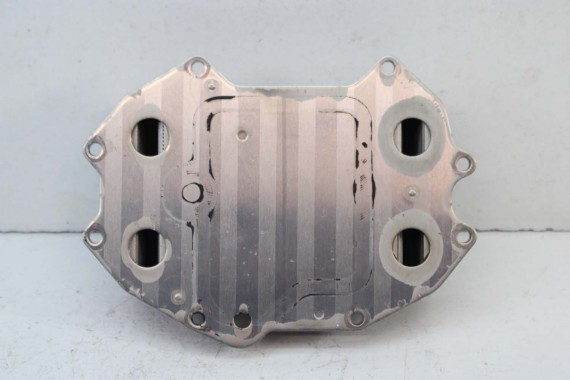 AUDI RS4 RS5 CHŁODNICA OLEJU 06M117015N silnik benzyna 2.9 3.0 TFSi A4 A5 B9 F5 06M 117 015 N 06M117015N 06M117015N 06M117015