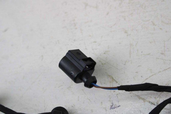 AUDI R8 WIĄZKA ELEKTRYCZNA DRZWI 4S8971030J instalacja 4S8971030J 4S8971030G 4S8971030J 4S8971030J 4S8971030J 4S8 971 030 J