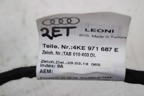 AUDI E-TRON WIĄZKA ELEKTRYCZNA DRZWI 4KE971687E 4KE971687Q instalacja tył ETRON 4KE971687N 4KE971687E 4KE971687Q 4KE971687N