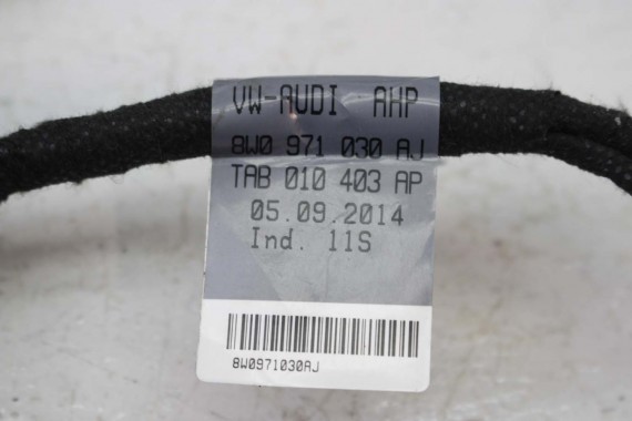 AUDI A4 8W B9 WIĄZKA ELEKTRYCZNA DRZWI 8W0971030AJ 8W0971030BB 8W0 971 030 AF instalacja przód przednia 8W0971030AS 8W0971030AM