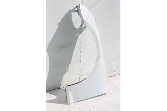 AUDI A4 8W PRZÓD maska błotniki zderzak przedni 2Y2Y LS9R Biały B9 8W0807065 8W0807611 8W0821105A 8W0821106A 8W0823029 8W0807681