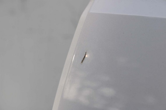 AUDI A4 SEDAN 8W B9 LS9R DRZWI LEWE PRZÓD + TYŁ STRONA LEWA przednie + tylne 2 sztuki 2Y2Y 8W0831051 8W5833051 8W0831051A białe