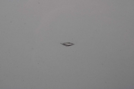 AUDI A4 SEDAN DRZWI PRAWE PRZÓD + TYŁ STRONA PRAWA przednie + tylne 2 sztuki 2 szt. 8W B9 biały LS9R 2Y2Y 8W0831052 8W5833052