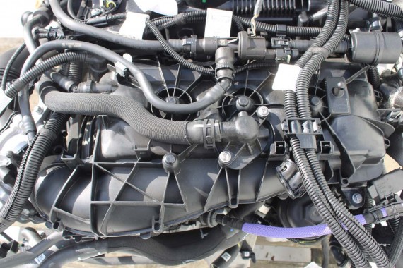 BMW KOLEKTOR SSĄCY 8647975 8647975 11618647975 B20B B48B20B B48B20B 8647975 2.0b 11618647975 8647975 11618647975 8647975 8647975