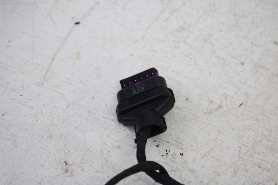 AUDI A5 8W F5 WIĄZKA ELEKTRYCZNA DRZWI 8W8971030AA 8W8 971 030 AA instalacja przód przednia SPORTBACK 8W8971030AA 8W8971030AA