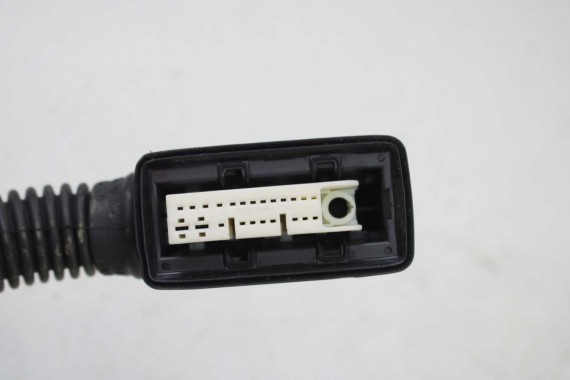 AUDI A5 8W F5 WIĄZKA ELEKTRYCZNA DRZWI 8W8971030AA 8W8 971 030 AA instalacja przód przednia SPORTBACK 8W8971030AA 8W8971030AA