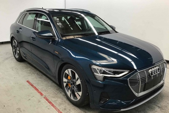 AUDI E TRON USZCZELKA DRZWI 4KE839432C przód przednia 4KE839432 4KE839432A 4KE839432B 4KE839432C 4KE839431C  ETRON